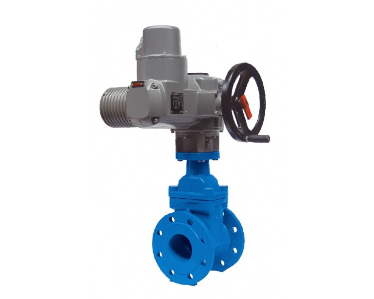 resilient-seated-gate-valve-with-electric-actuator-flanged
